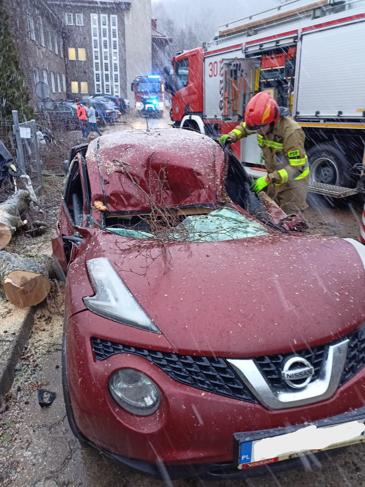 W Gdańsku przy szpitalu drzewo spadło na auto/fot. KM PSP Gdańsk