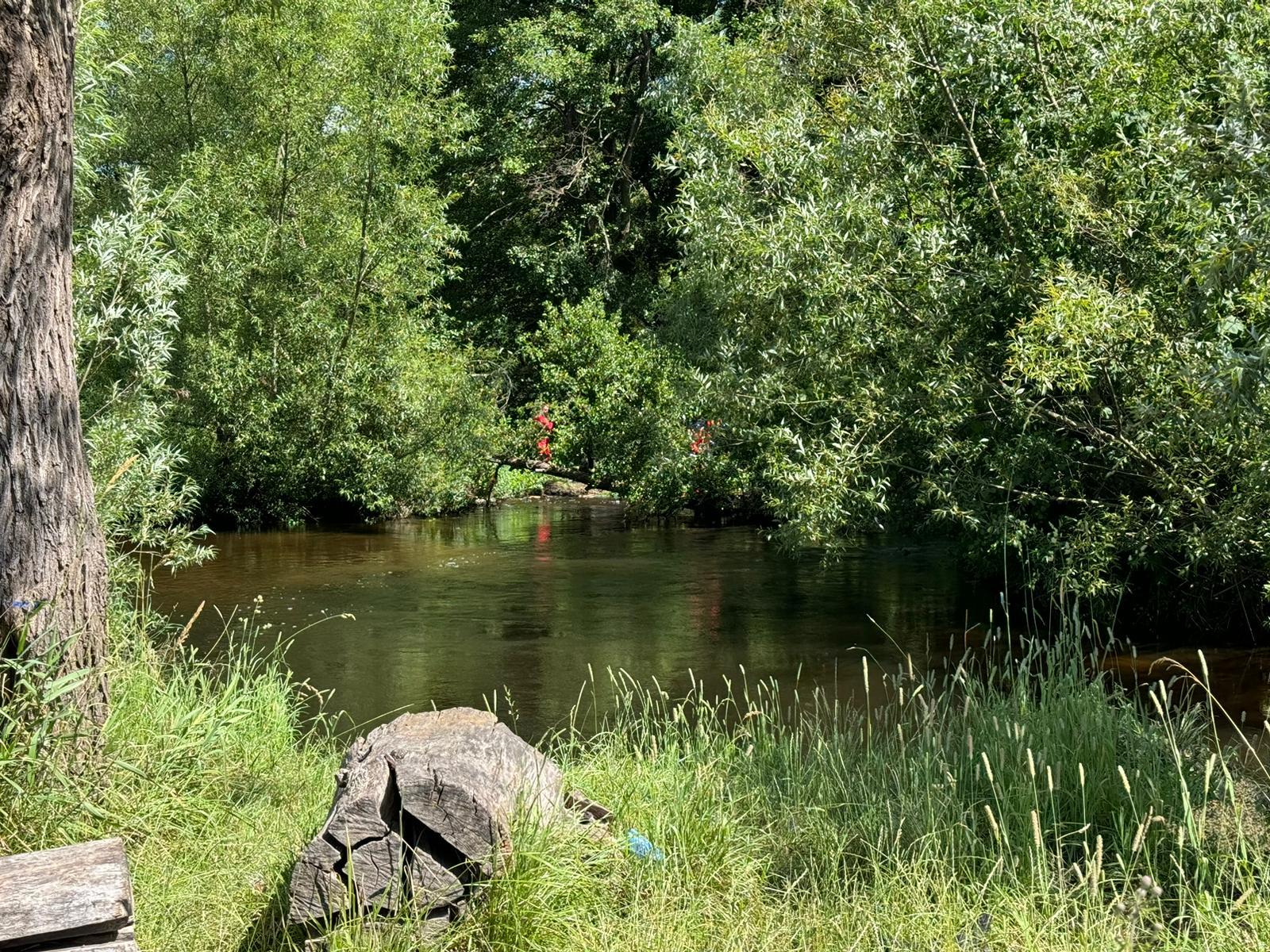 źródło: telewizjattm.pl