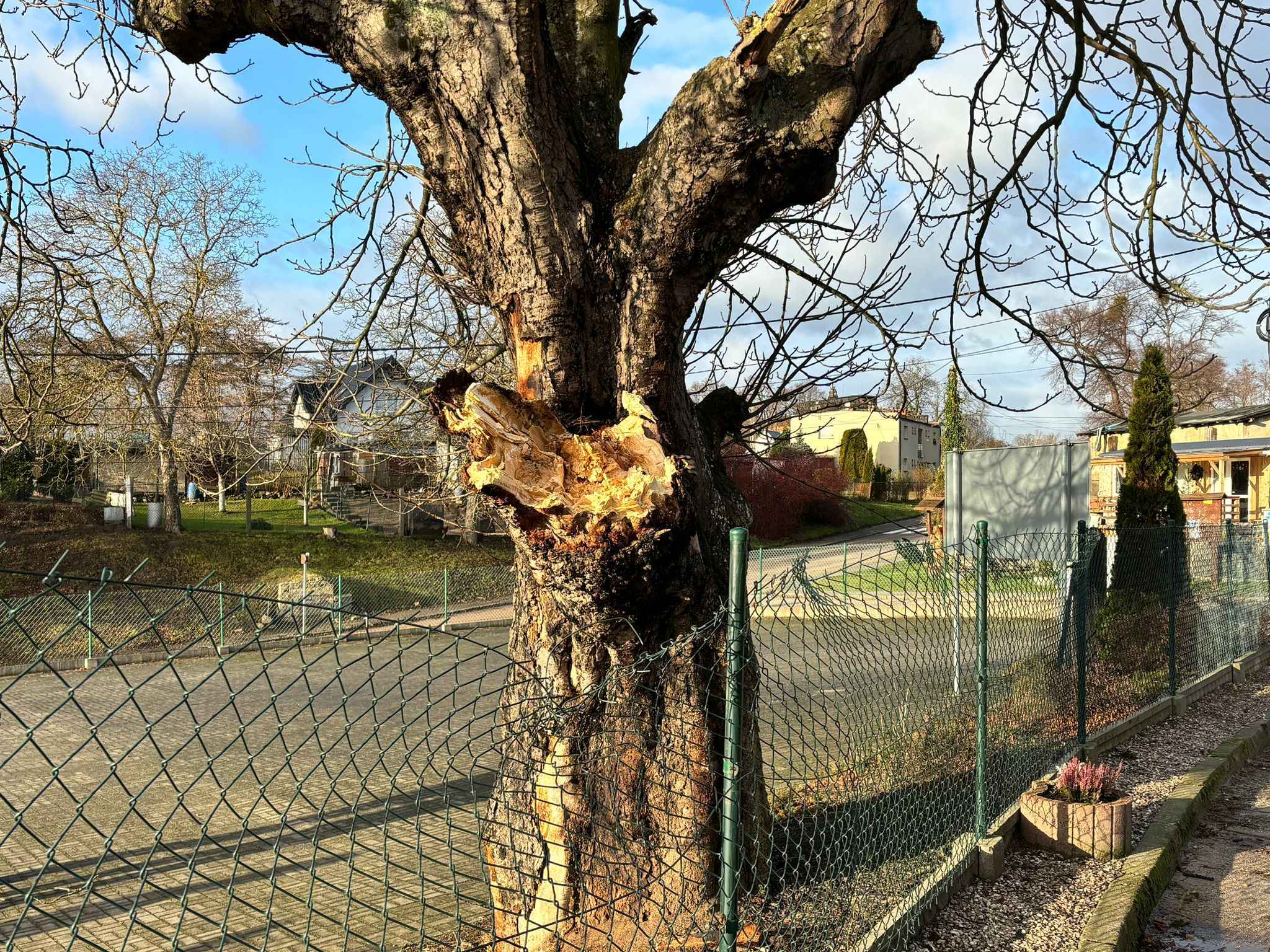 Foto: KP PSP Puck, OSP Jastrzębia Góra