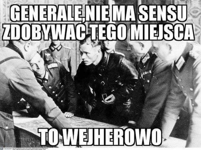 źródło: Internet